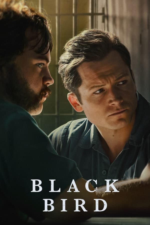 Download Series : Black Bird Season 1 Episode 1-6 [TV Series]