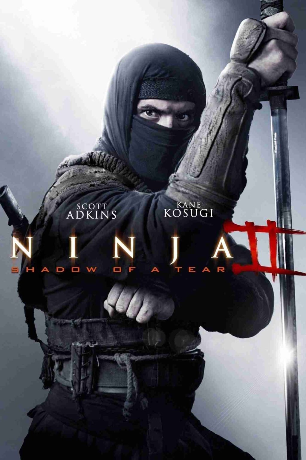 Download : Ninja: Shadow of a Tear (2013) – Hollywood Movie Download : Ninja: Shadow of a Tear (2013) – Hollywood Movie