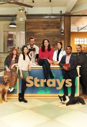 Download Series : Strays Season 2 Episode 1-3 [TV Series]