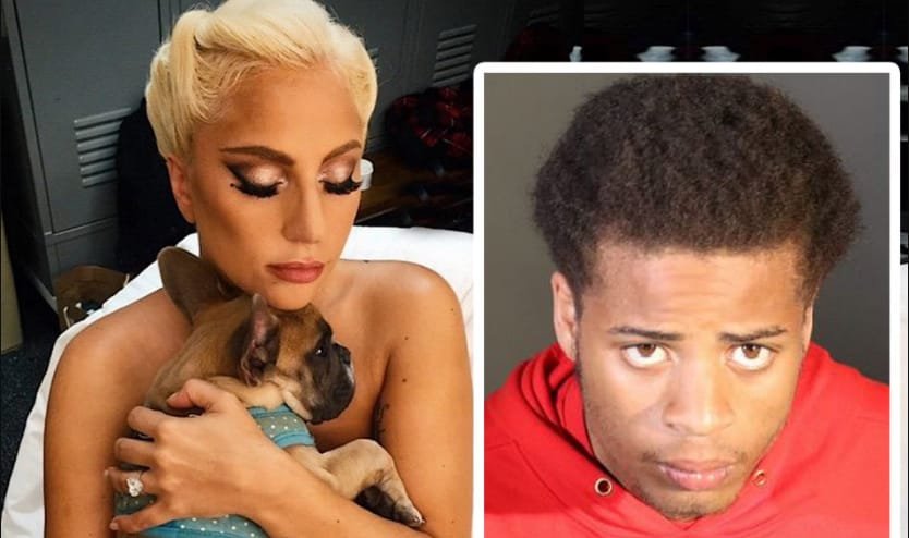 Man Bags 21 Years Jail Term For Stealing Lady Gaga’s Dogs, Shooting Dog’s Walker